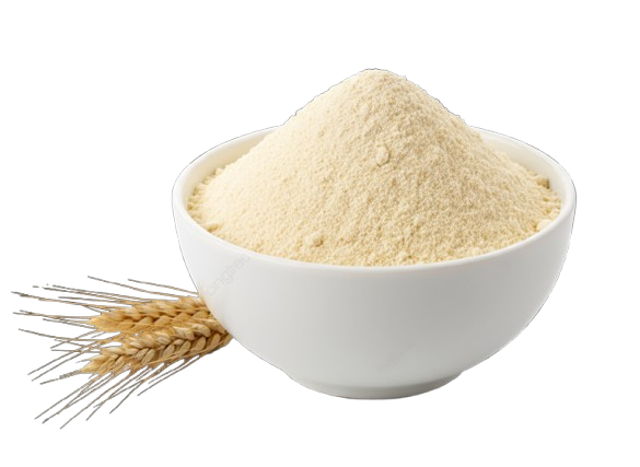 Rice grains illustration